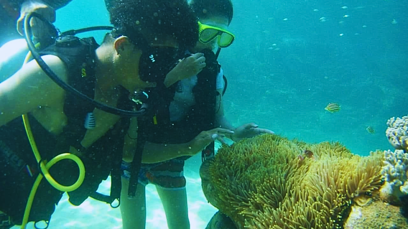 Sunrise journey - SUP rowing & diving to see coral reefs in Son Tra (5)